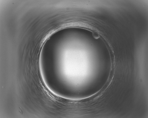 X0000086311529200703301137
