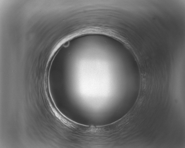 X0000086311531200703301137