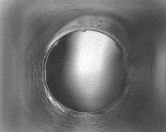 X0000086311534200703301137