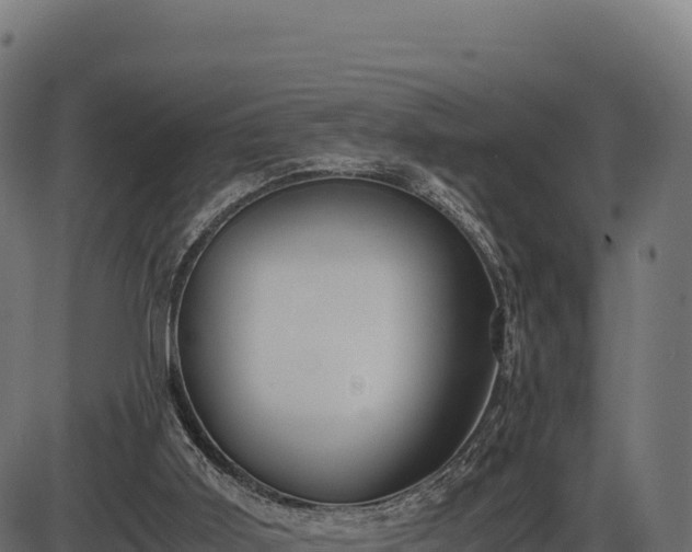 X0000086310011200704091058
