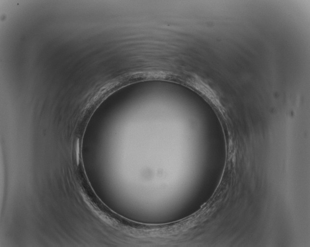 X0000086310013200704091058