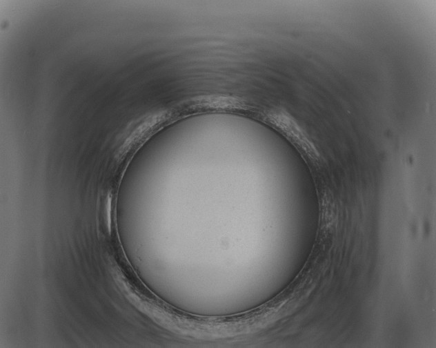X0000086310014200704091058