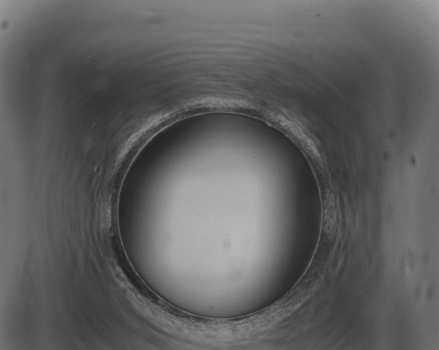 X0000086310015200704091058