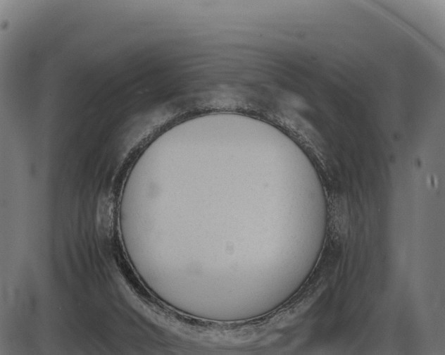 X0000086310016200704091058