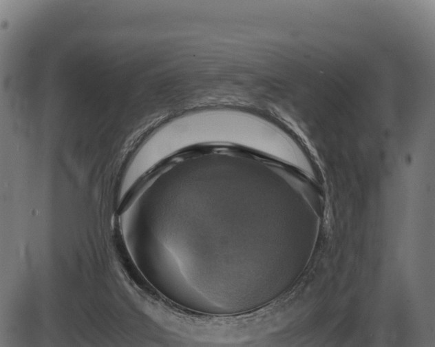 X0000086310019200704091058
