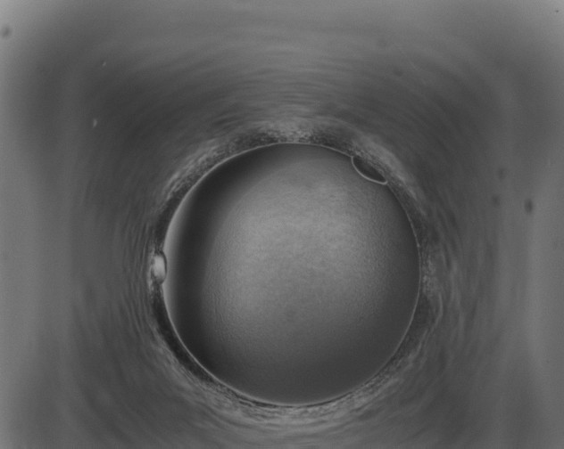 X0000086310023200704091058