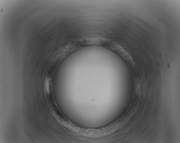 X0000086310026200704091058