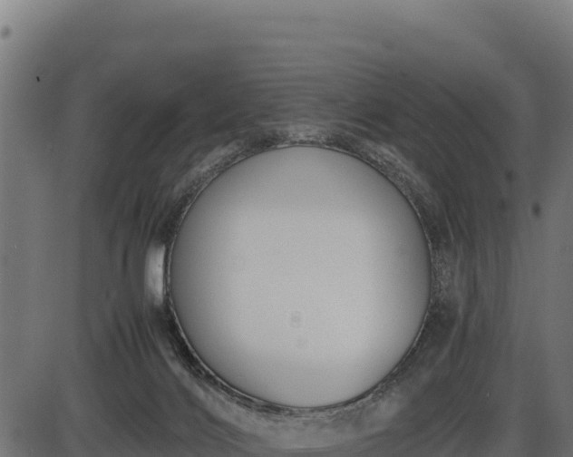 X0000086310028200704091058