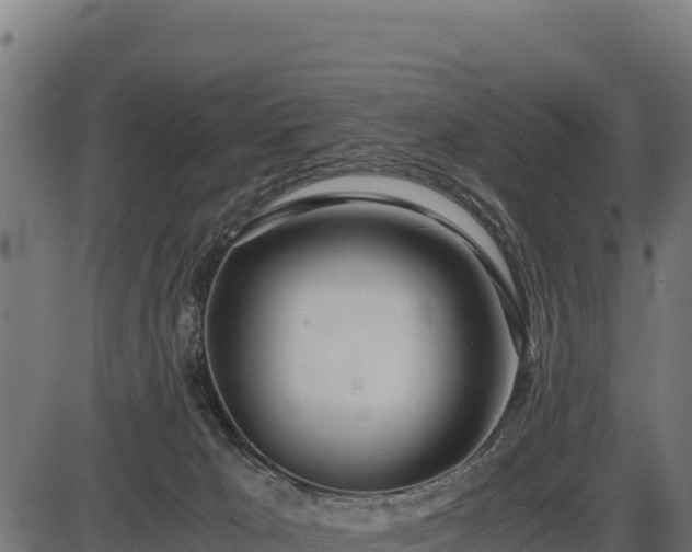 X0000086310029200704091058