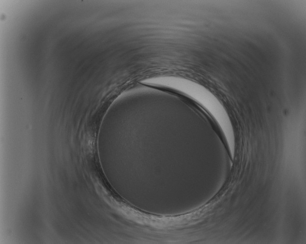 X0000086310039200704091058