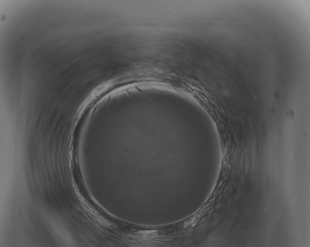 X0000086310054200704091057