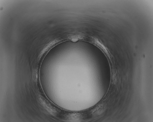 X0000086310059200704091057