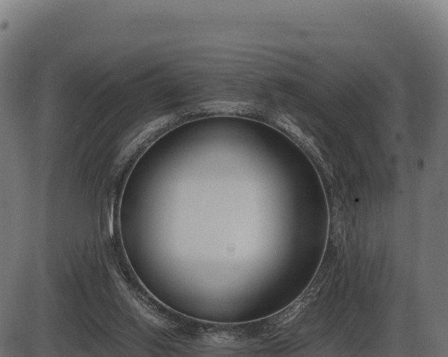X0000086310062200704091057