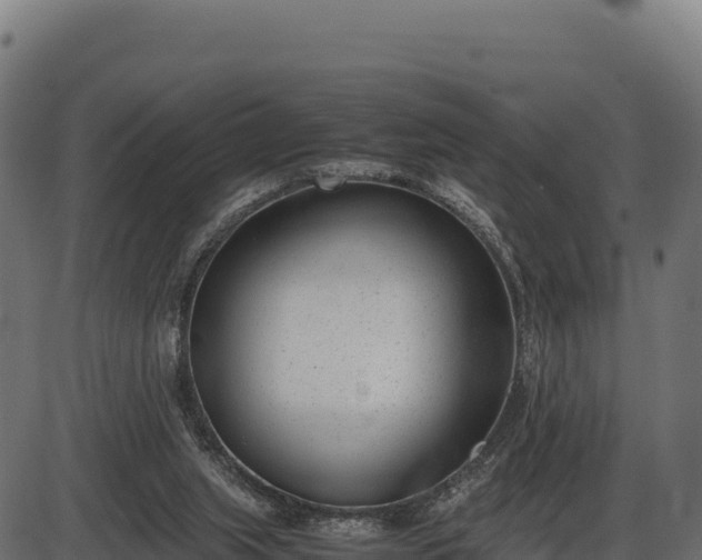 X0000086310063200704091057