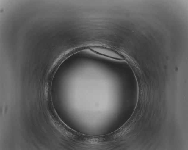 X0000086310064200704091057