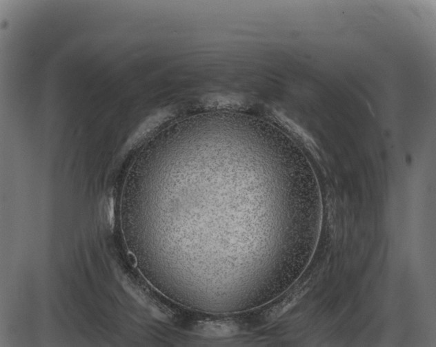 X0000086310067200704091057