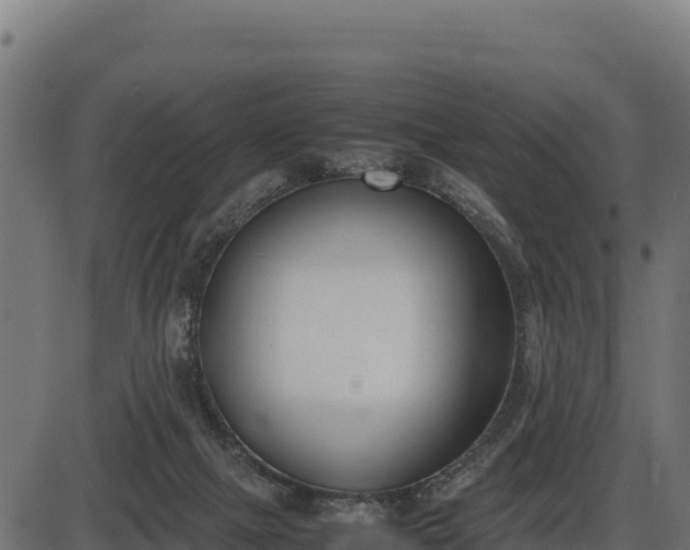 X0000086310073200704091057
