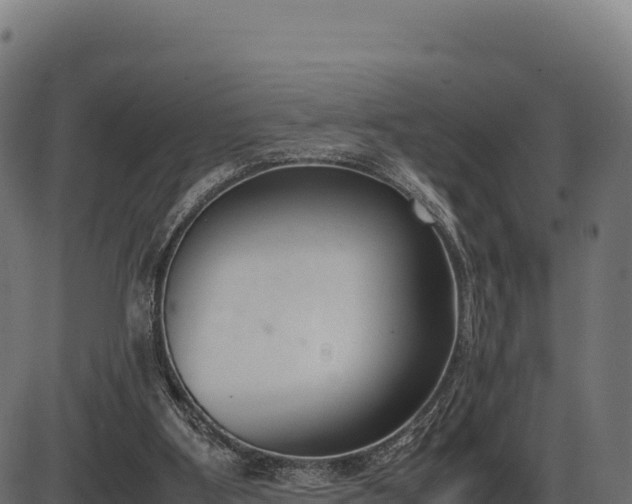 X0000086310107200704091057
