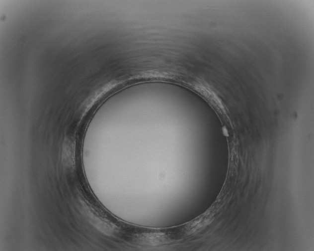 X0000086310108200704091057