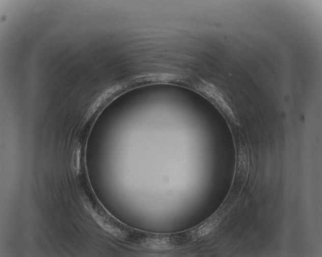 X0000086310110200704091057