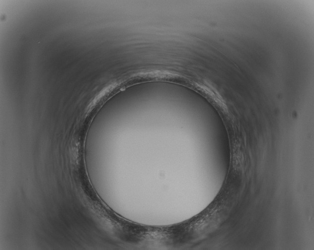 X0000086310111200704091057