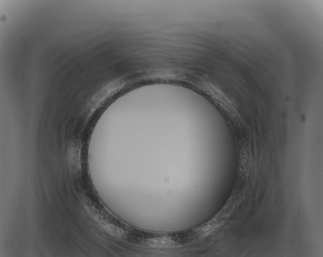 X0000086310112200704091057