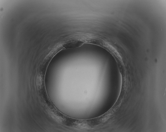 X0000086310113200704091057