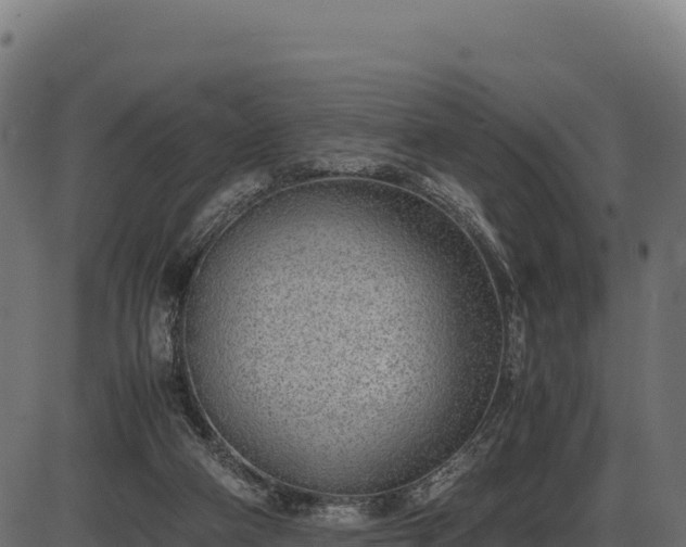 X0000086310114200704091057
