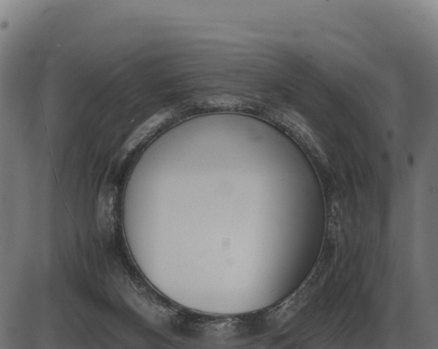 X0000086310116200704091057