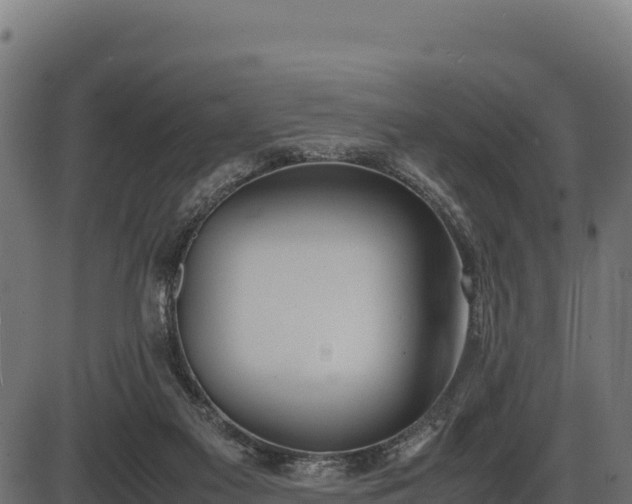 X0000086310117200704091057