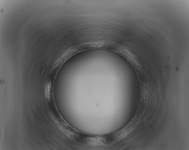 X0000086310118200704091057