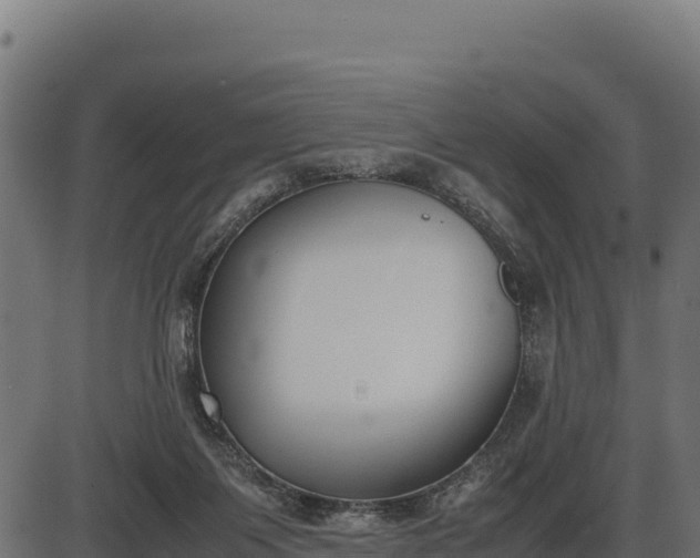 X0000086310119200704091057