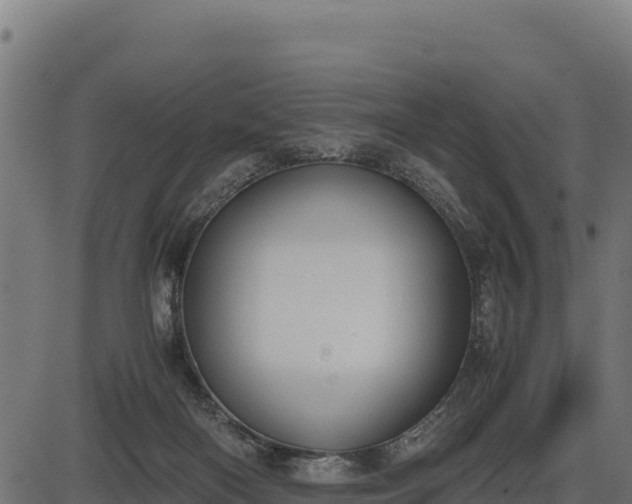 X0000086310122200704091057