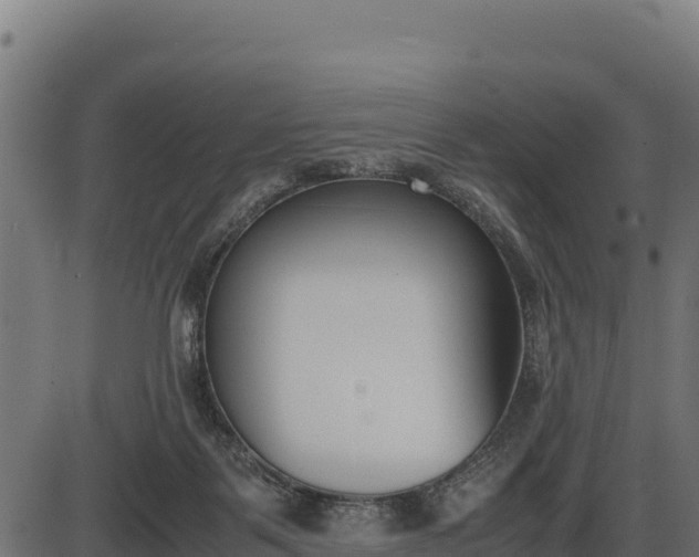 X0000086310123200704091057