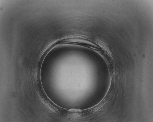 X0000086310156200704091056
