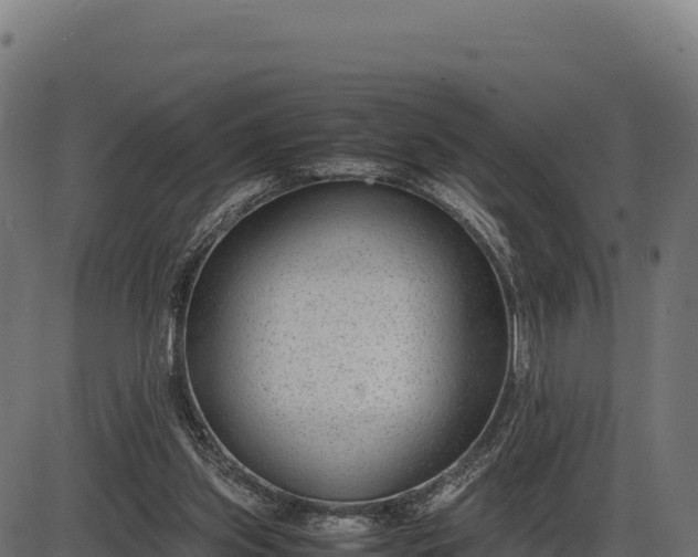 X0000086310157200704091056