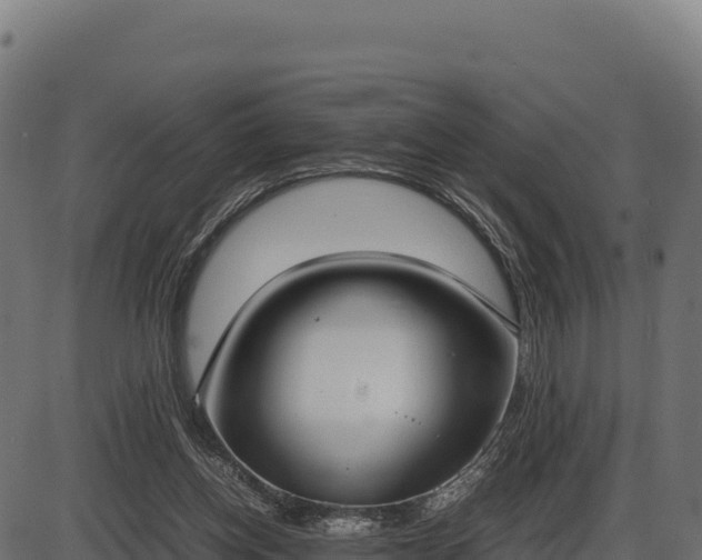 X0000086310158200704091056