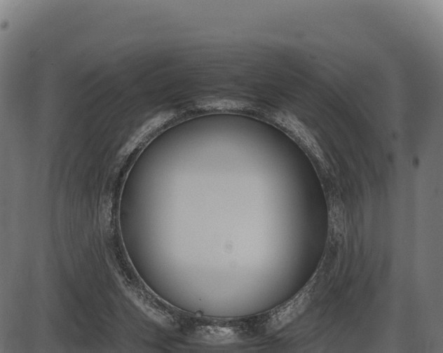 X0000086310159200704091056
