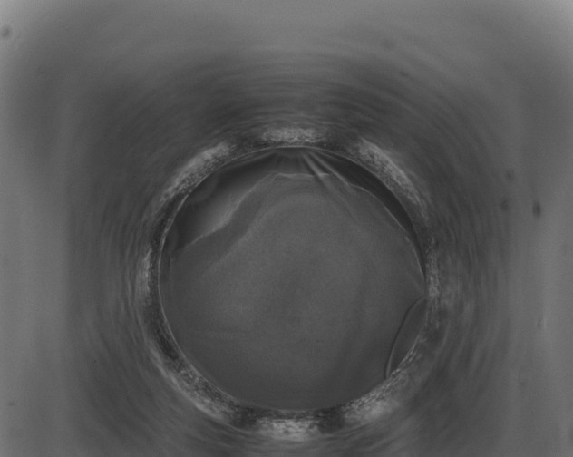 X0000086310163200704091056