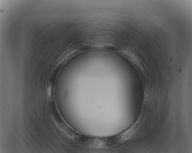 X0000086310166200704091056