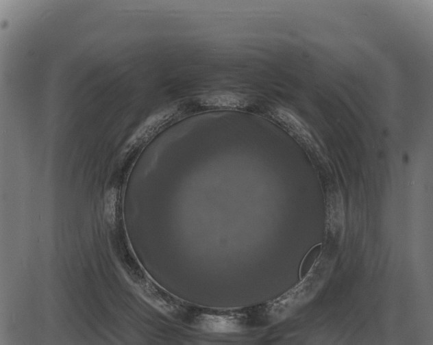 X0000086310167200704091056