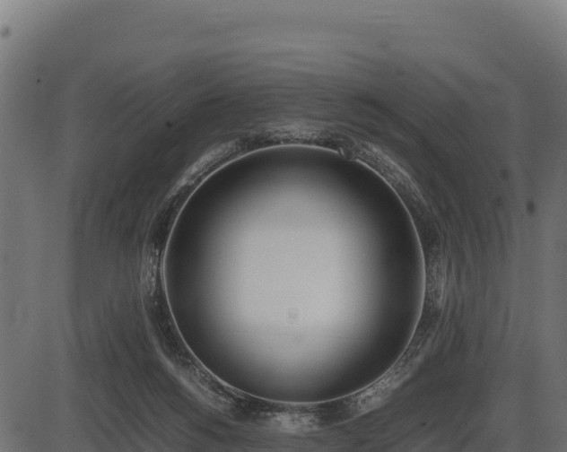 X0000086310168200704091056