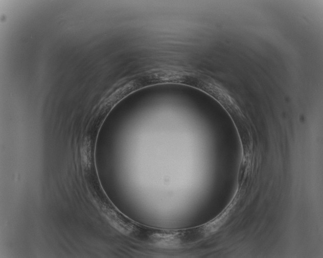 X0000086310170200704091056