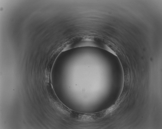 X0000086310180200704091056