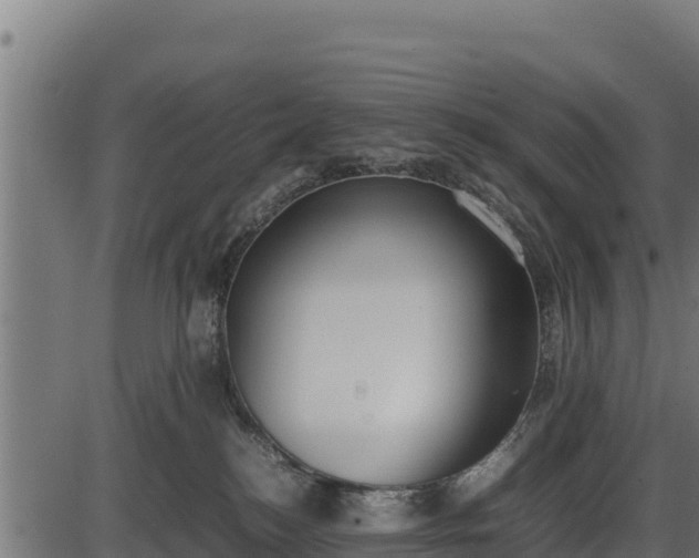 X0000086310184200704091056