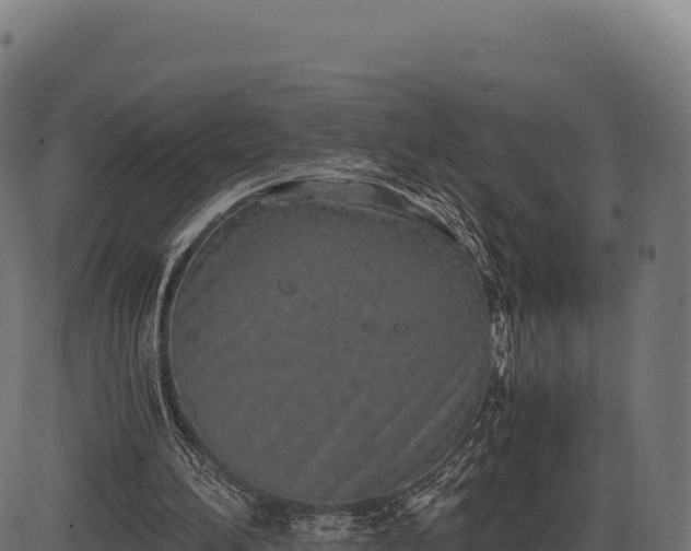 X0000086310196200704091055