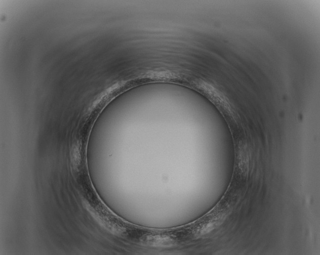 X0000086310208200704091055