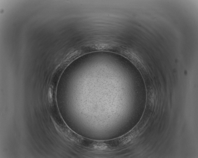 X0000086310214200704091055