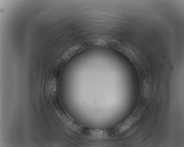 X0000086310230200704091055