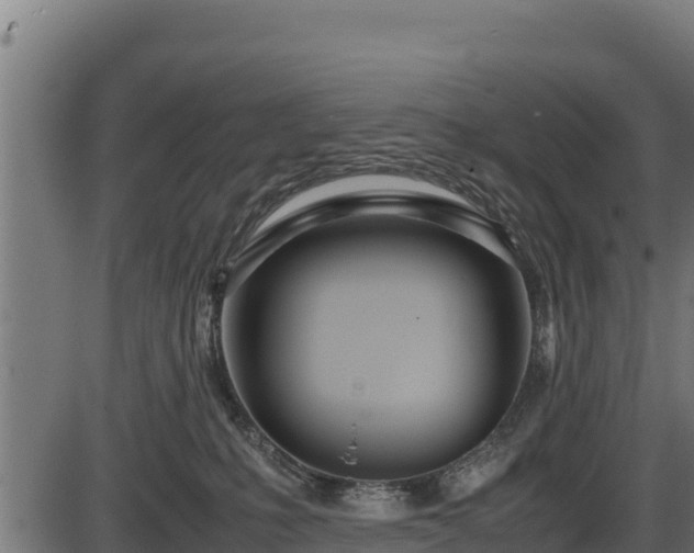 X0000086310231200704091055